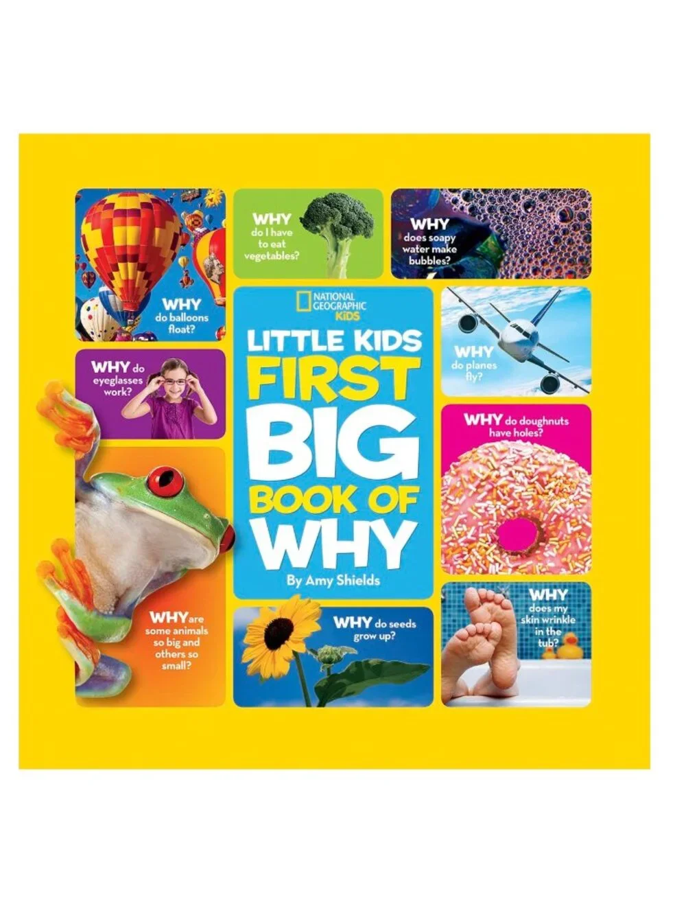 National Geographic Little Kids First Big Book of Why, Hardcover, Early Learners